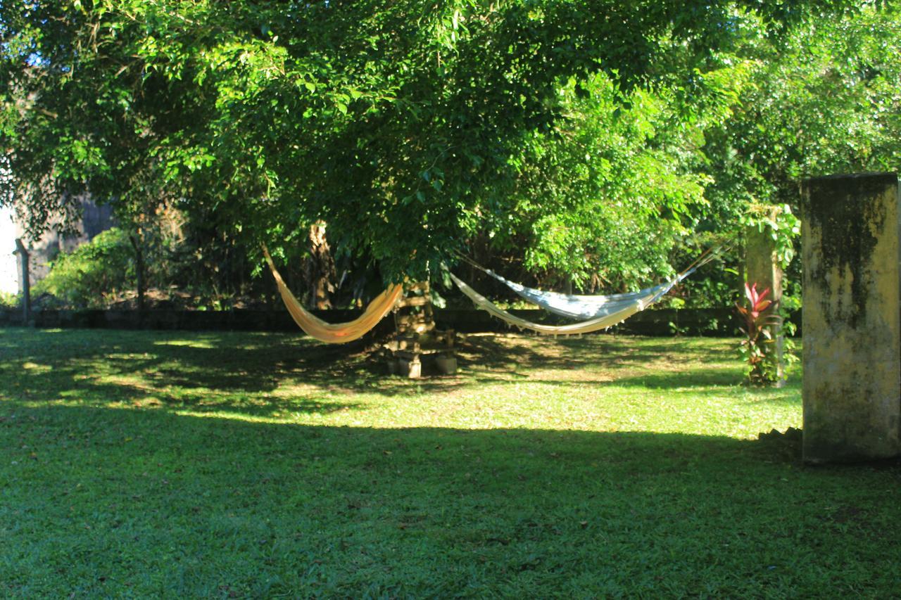 Junglez Eco Hostel Guarau Exterior foto